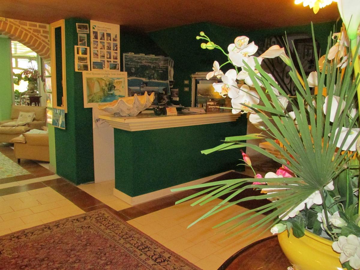 Hotel Conchiglia Verde Sirolo Extérieur photo